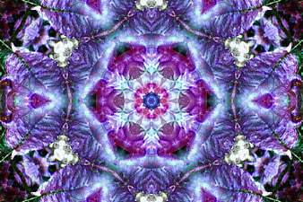 Purple Kaleidoscope Pattern with Geometric Symmetry