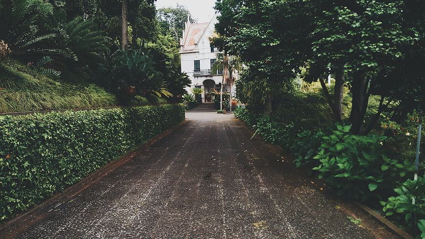 Paved Pathway Leading to White House in Lush Tropical Garden