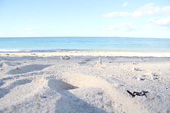 Sandy Beach Shoreline With Turquoise Ocean And Blue Sky