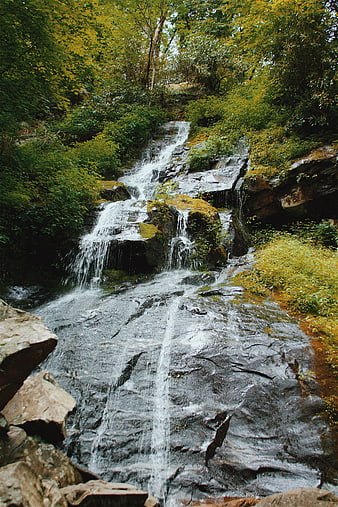 Serene Forest Waterfall Cascading Over Mossy Rocks
