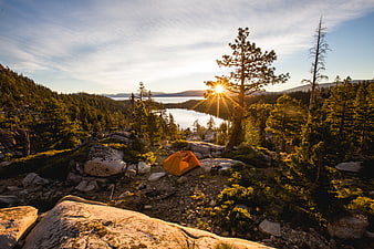 Orange Tent Camping in Rocky Mountain Forest at Sunset