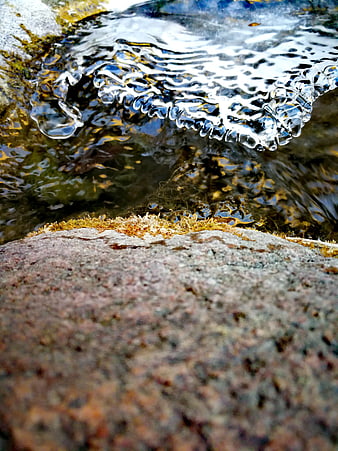 Close-up of flowing water over mossy rocks in nature