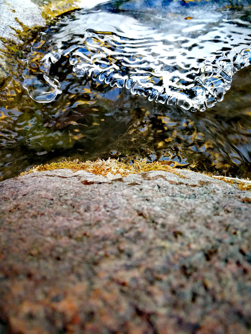 Close-up of flowing water over mossy rocks in nature