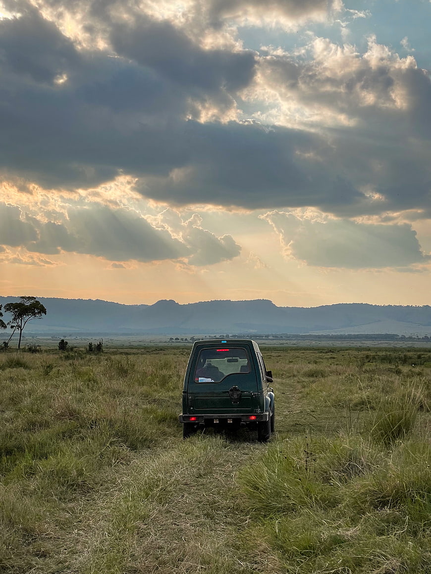 Green safari jeep driving through grassy savanna landscape