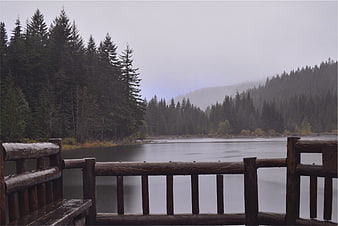 Serene Lake View from Wooden Deck in Misty Forest