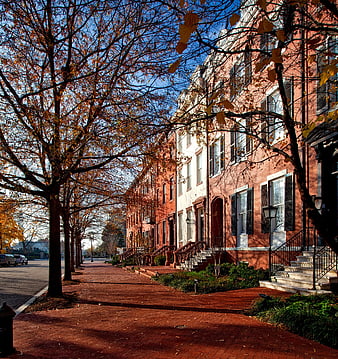 Autumn Row Houses with Brick Sidewalk and Trees
