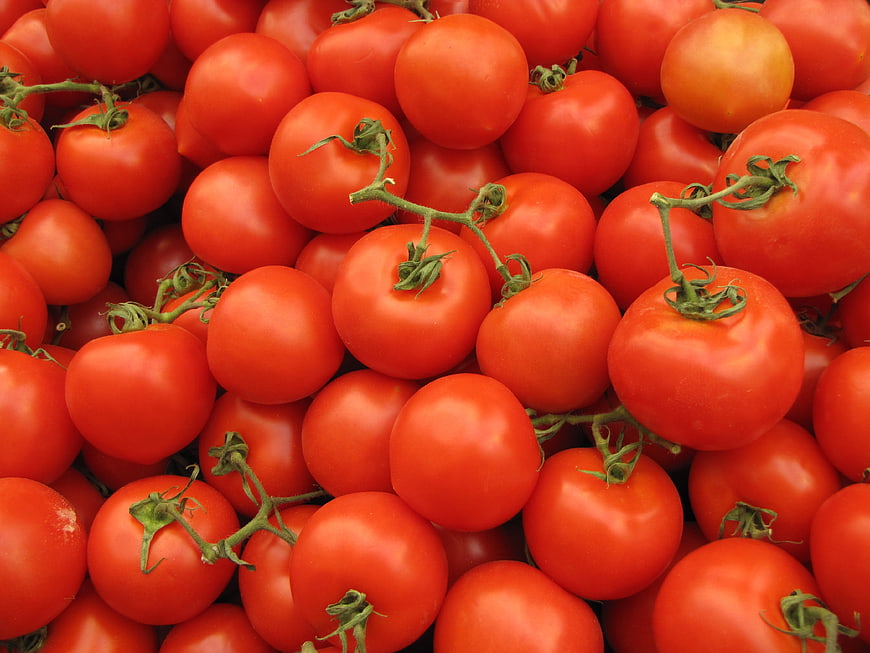 Fresh Red Tomatoes Pile Close Up
