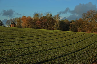Rolling green field with autumn trees and small chapel
