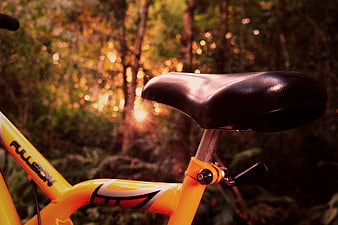 Close-up of yellow bicycle seat in forest at sunset