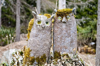 Two Mossy Stone Owl Statues in a Forest Garden