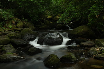 Serene Forest Stream with Mossy Rocks and Flowing Water