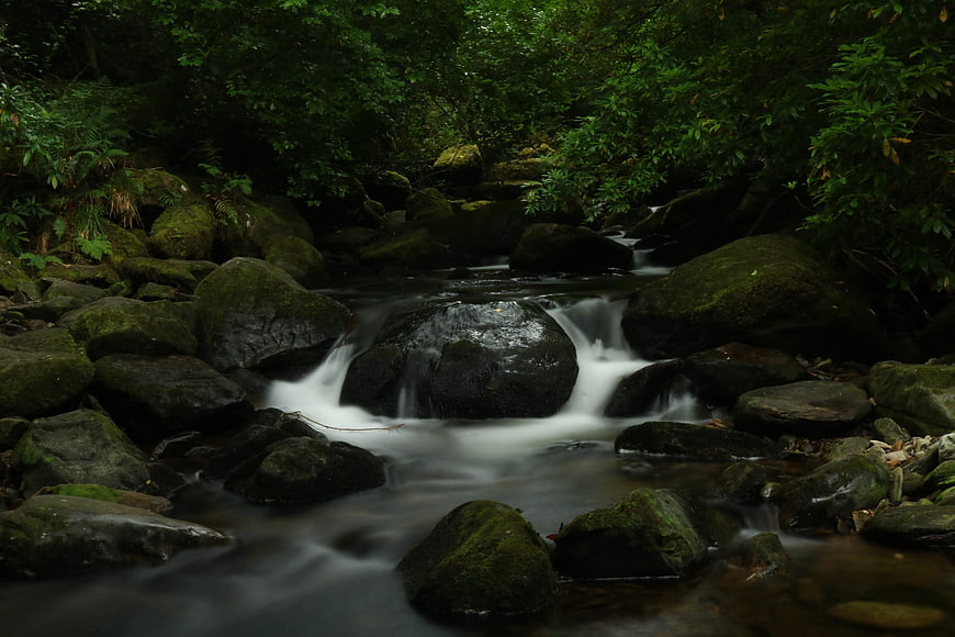 Serene Forest Stream with Mossy Rocks and Flowing Water