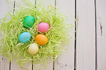 Colorful Easter Eggs in Green Nest on White Wood