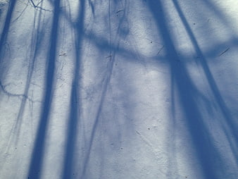 Abstract Blue Shadows of Branches on Snow Texture