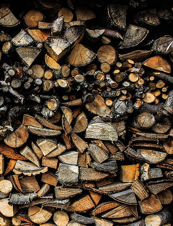 Stacked Firewood Logs Texture Background