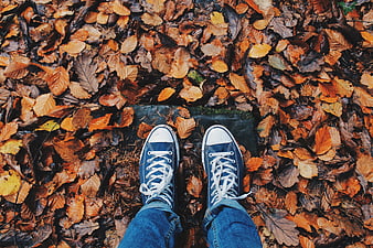 Blue Sneakers on Autumn Leaves Top View