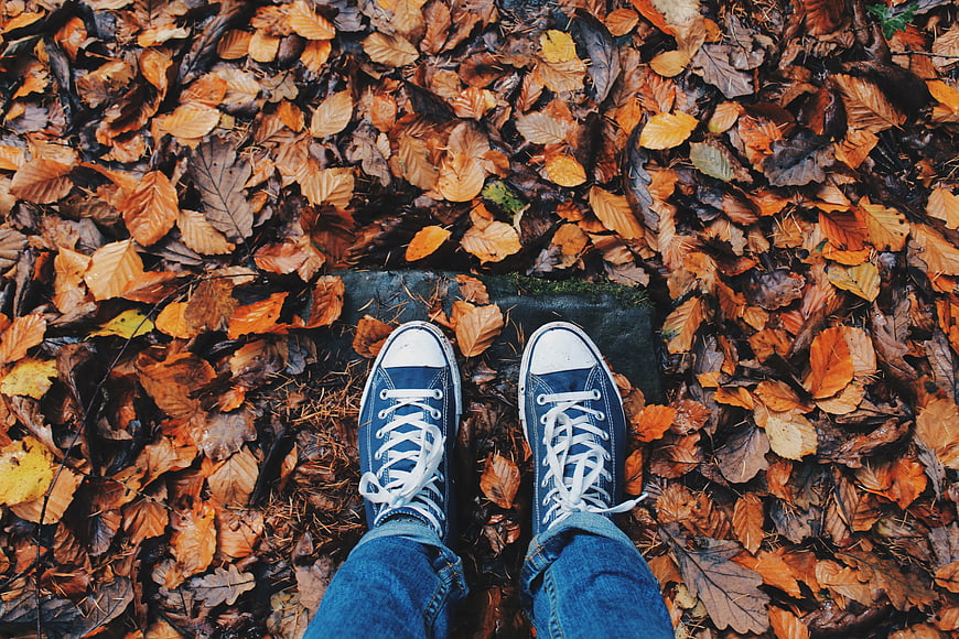 Blue Sneakers on Autumn Leaves Top View