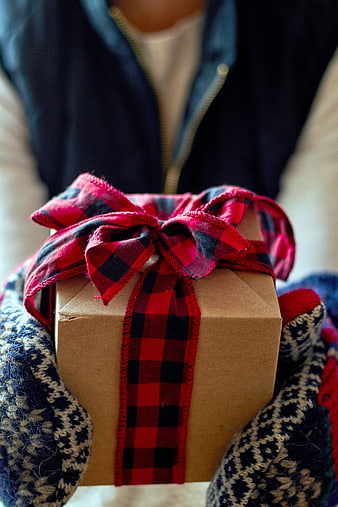 Hands in Mittens Holding Wrapped Christmas Gift Box