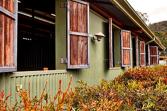 Rustic Green Building with Wooden Shutters and Red Bushes