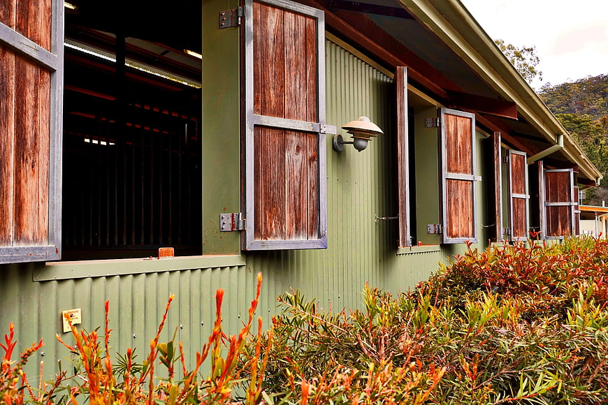 Rustic Green Building with Wooden Shutters and Red Bushes