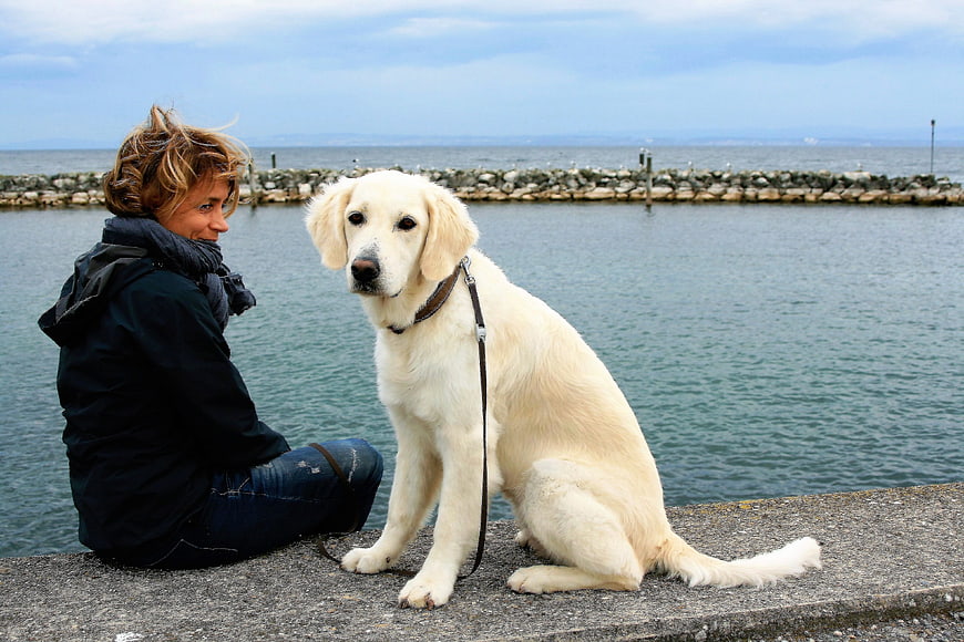 Woman and Golden Retriever Sitting on Seawall by the Water