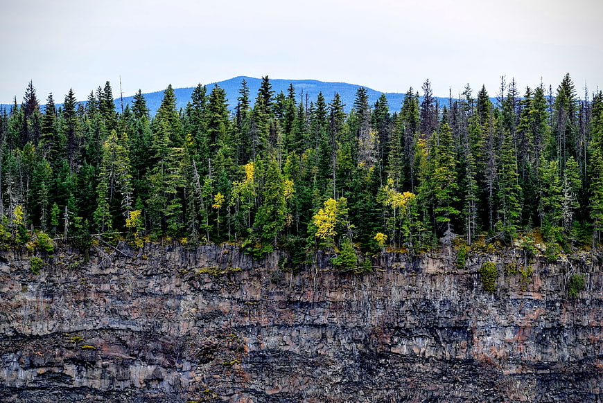 Dense evergreen forest on rocky cliff with distant mountains