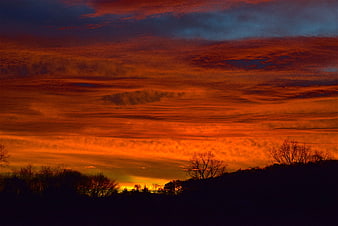 Dramatic fiery orange sunset sky with silhouetted trees