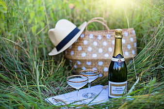 Champagne Picnic Setup With Straw Hat And Wicker Basket In Summer Grass