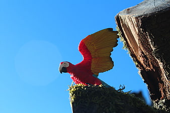 Red Macaw Statue on Mossy Tree Stump Against Blue Sky