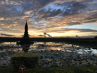 Silhouette of Thai Stupa in Lotus Pond at Sunset
