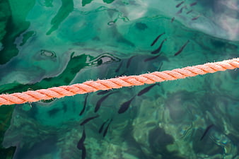 Orange rope over turquoise water with swimming fish