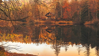 Serene Autumn Cabin by Lake with Vibrant Forest Reflections