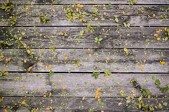 Top View of Weathered Wooden Deck with Scattered Autumn Leaves