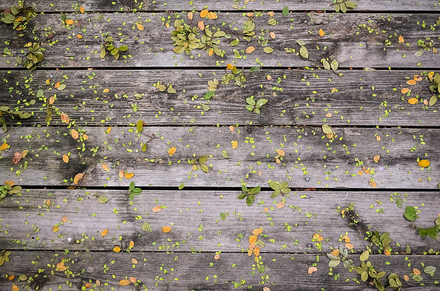 Top View of Weathered Wooden Deck with Scattered Autumn Leaves