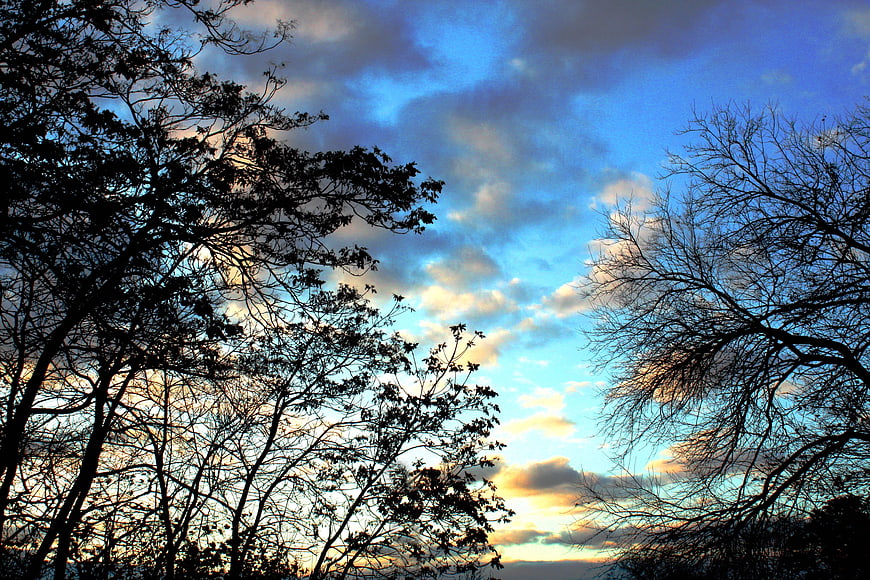 Silhouetted Trees Against Dramatic Blue and Orange Sunset Sky