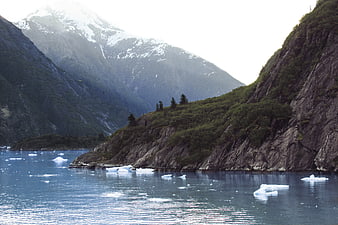Scenic fjord with icebergs and snow-capped mountains