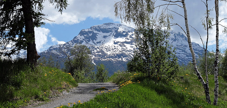 Alpine Meadow Path Leading To Snow-Capped Mountain Peak