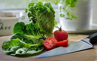 Fresh lettuce and sliced tomatoes with chef knife on wooden board