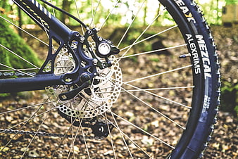 Close-up of mountain bike rear wheel and disc brake in forest