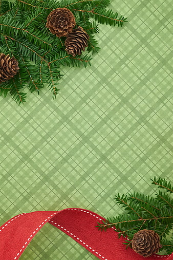 Christmas flat lay with pine branches, cones, and red ribbon on green plaid