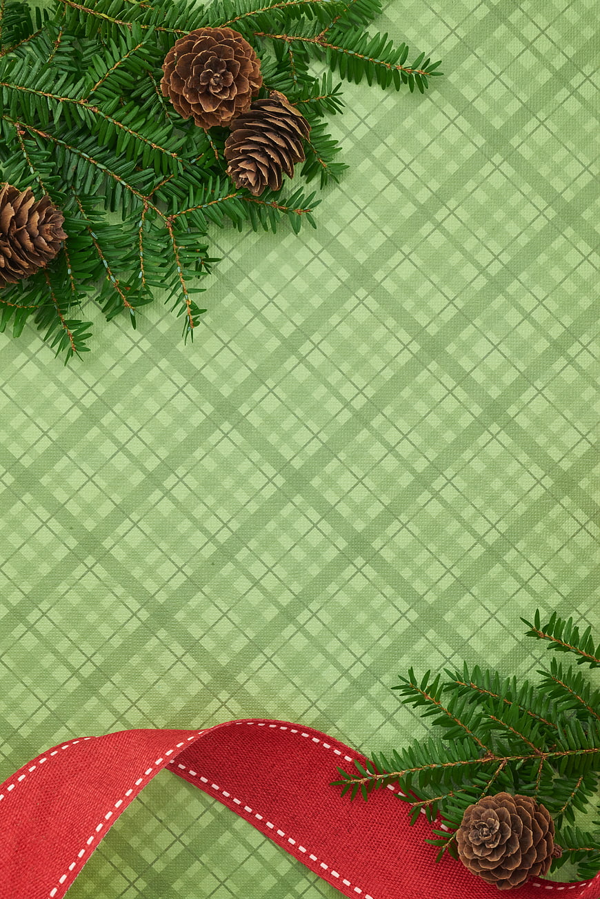 Christmas flat lay with pine branches, cones, and red ribbon on green plaid