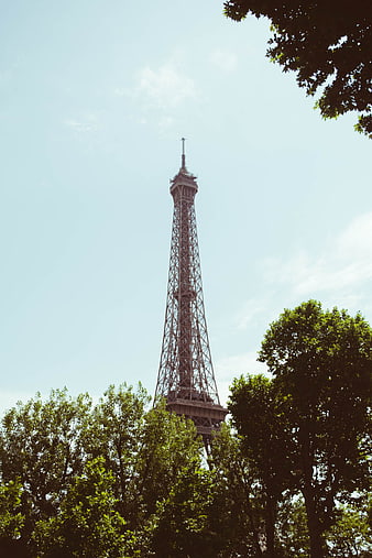 Eiffel Tower Rising Above Green Trees in Paris