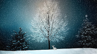 Snowy Winter Forest with Rabbit and Frosty Trees