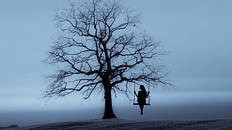 Silhouette of woman on swing in bare winter tree