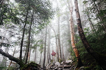 Hiker in Red Jacket Walking Through Misty Forest