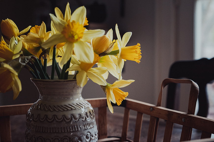 Yellow Daffodils in Rustic Ceramic Vase on Wooden Chair