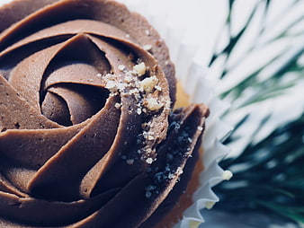 Close-up of chocolate cupcake with frosting and sprinkles
