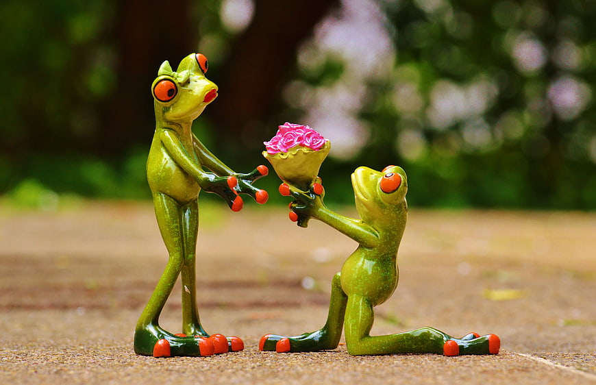 Cute frog figurines with pink roses proposal scene