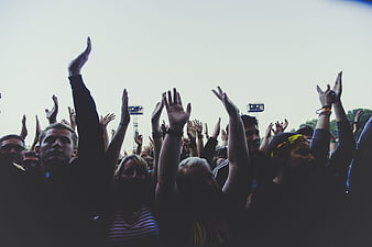 Silhouette of concert crowd with raised hands