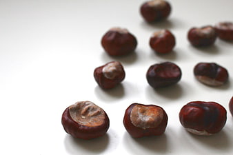 Scattered Chestnuts on White Background with Copyspace